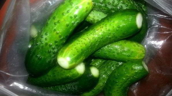 малосольные огурцы всухую