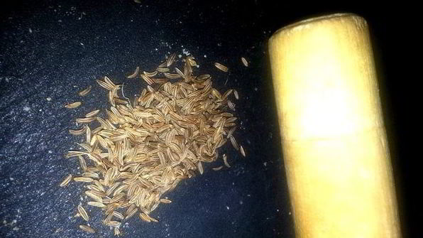 малосольные огурцы всухую