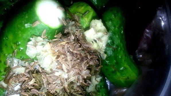 малосольные огурцы всухую