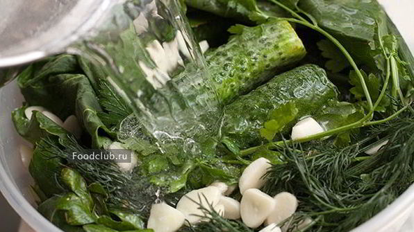 малосольные огурцы