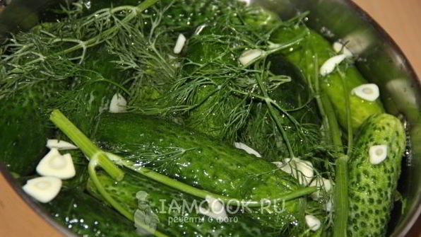 огурцы малосольные на минеральной воде