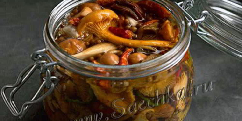 Рецепт соленых грибов с хреном