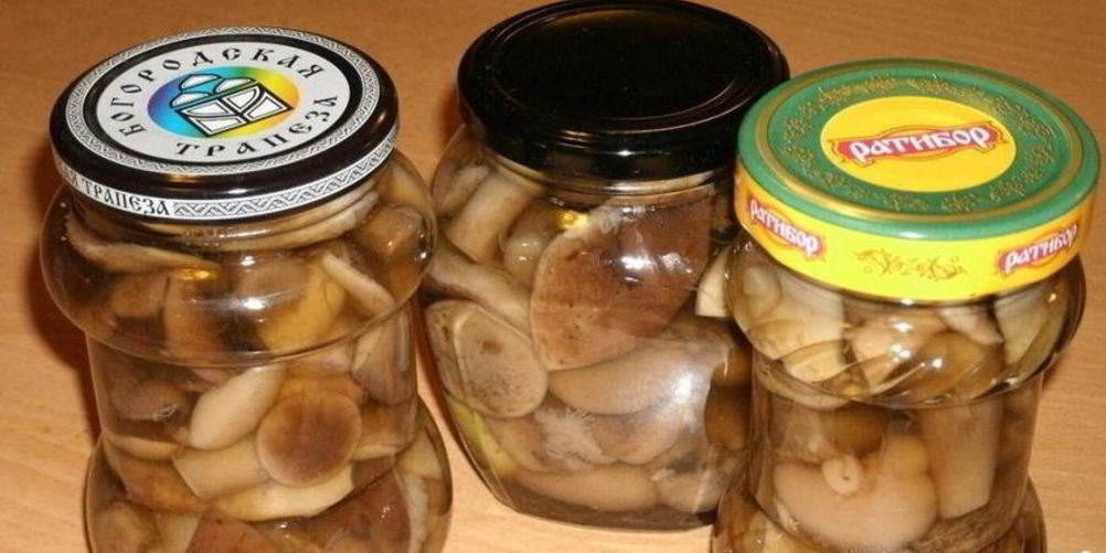 Рецепт закатки грибов на зиму