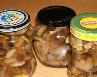 Закатка грибов на зиму