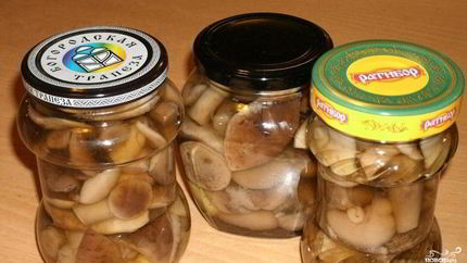 Закатка грибов на зиму