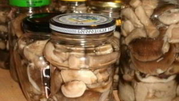 закатка грибов на зиму