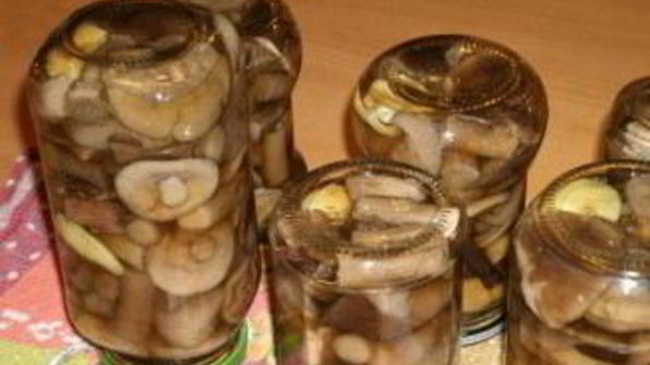 закатка грибов на зиму