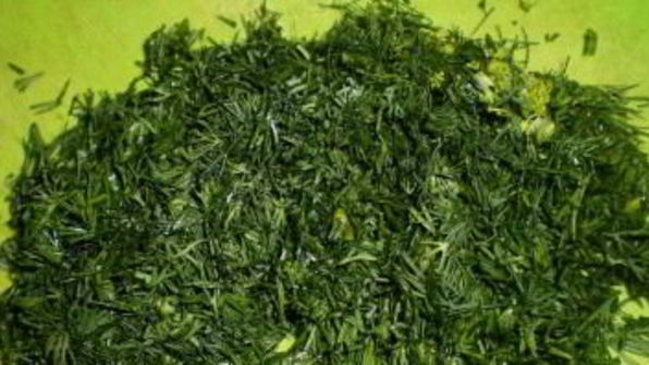 зеленый лук на зиму