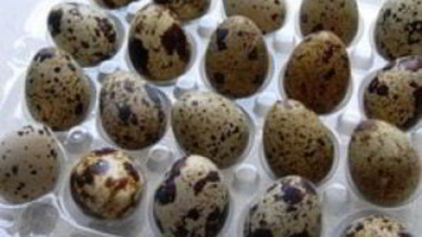 канапе из яиц на завтрак