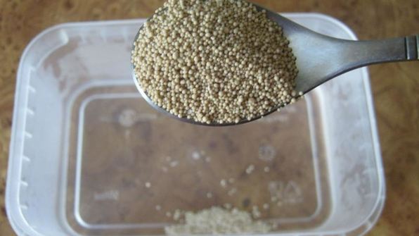 булочки для хот догов