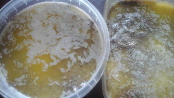 паштет из утиных потрошков