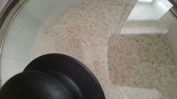 роллы разбитое сердце самурая