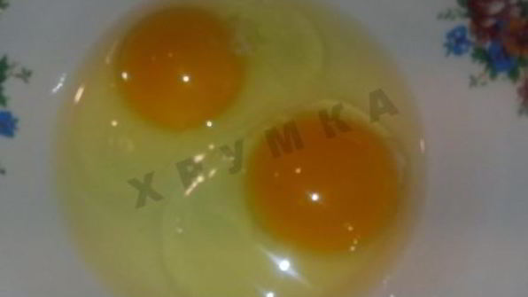 яичные роллы по-корейски