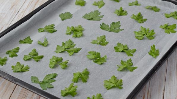 кабачковый рулет с творожным сыром