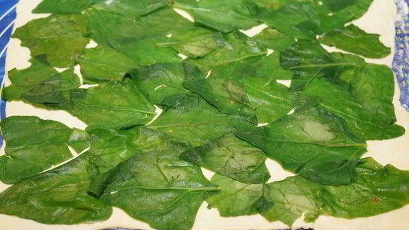 куриный рулет с черносливом в слоеной шубке