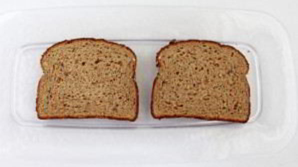 сэндвичи в дорогу