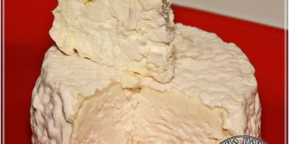 Рецепт сыра кроттен из молока англо-нубийских коз