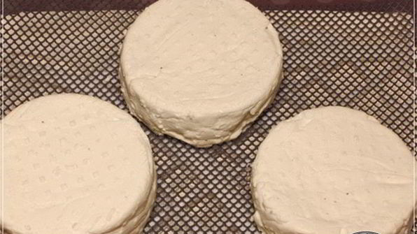 сыр кроттен из молока англо-нубийских коз