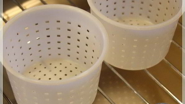 сыр кроттен из молока англо-нубийских коз