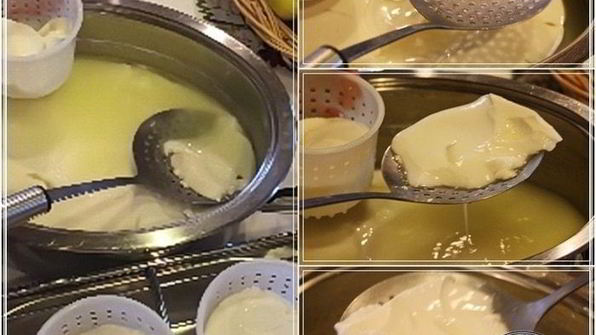 сыр кроттен из молока англо-нубийских коз