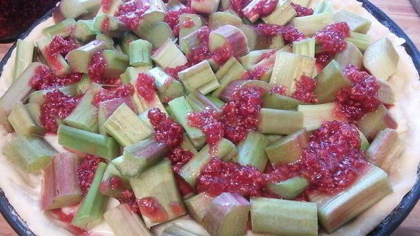 ревеневый тарт с ванильным пудингом и штройзелем